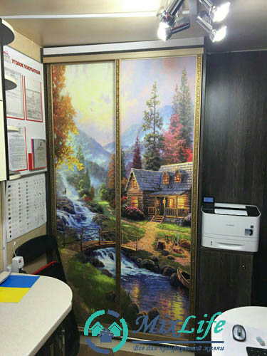 двери для шкафа купе под заказ Одесса